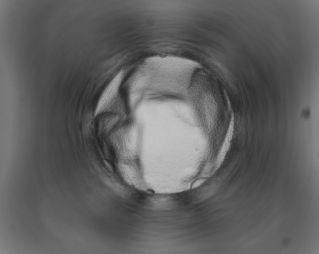 X0000090870189200708241927