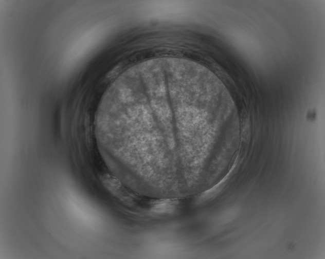 X0000090870191200708241927