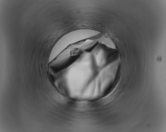 X0000090870192200708241927