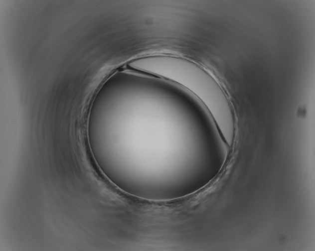 X0000090870193200708241927
