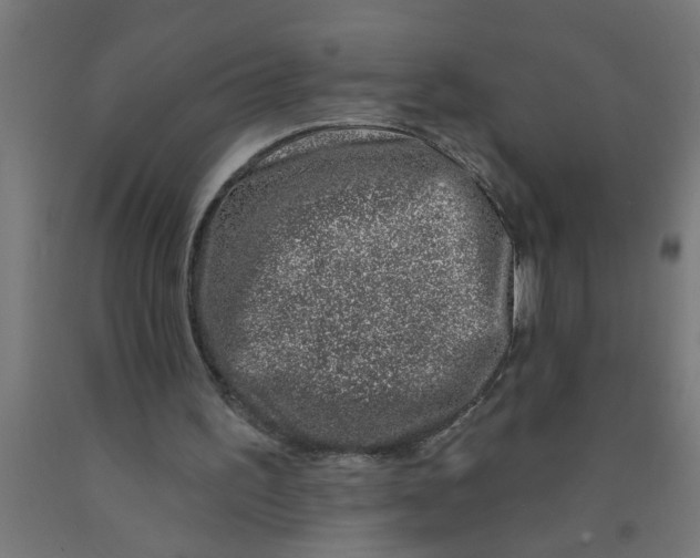 X0000090870195200708241927