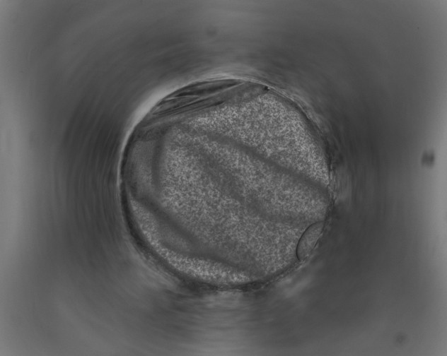 X0000090870196200708241927