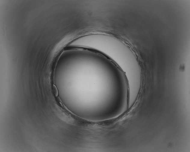 X0000090870197200708241927