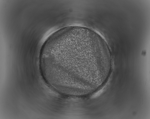 X0000090870199200708241927
