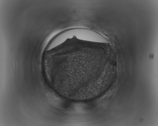 X0000090870200200708241927