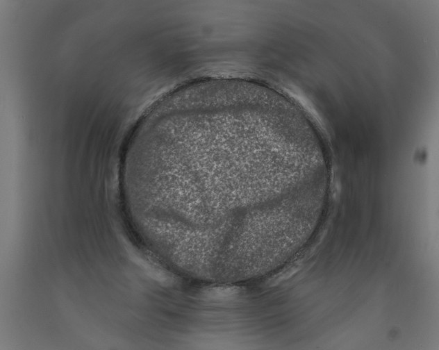 X0000090870202200708241927