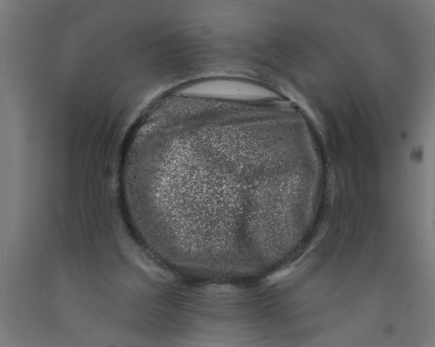 X0000090870203200708241927