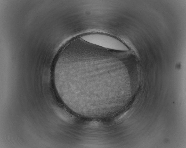 X0000090870204200708241927