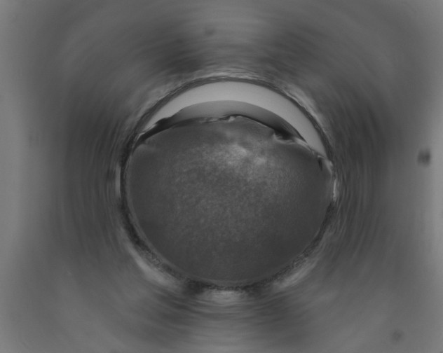 X0000090870205200708241927