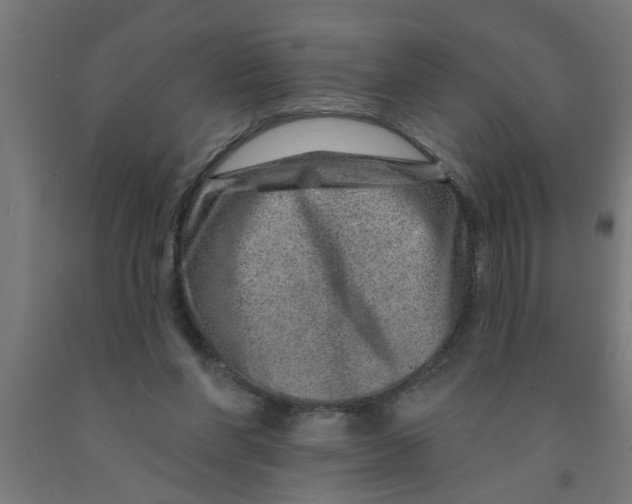 X0000090870206200708241927