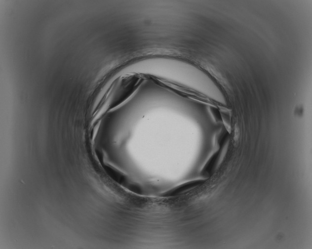 X0000090870207200708241927