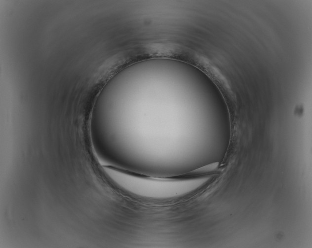 X0000090870209200708241927