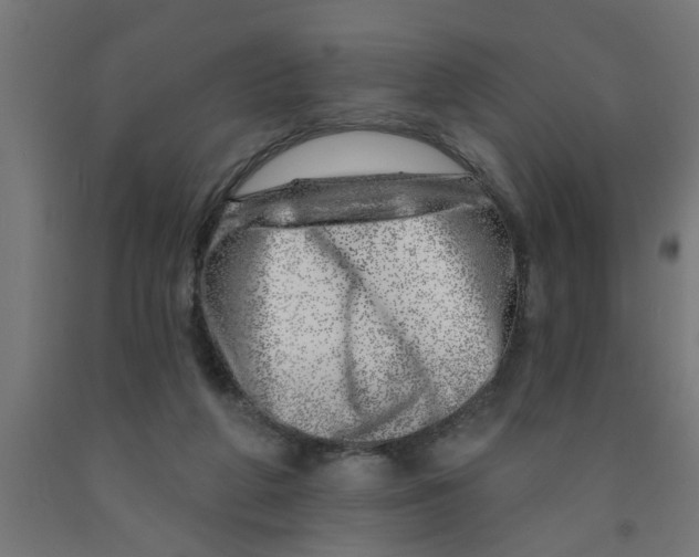 X0000090870210200708241927