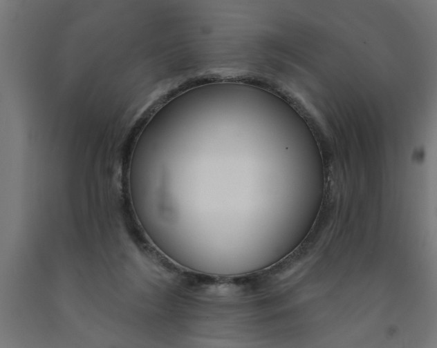 X0000090870212200708241926