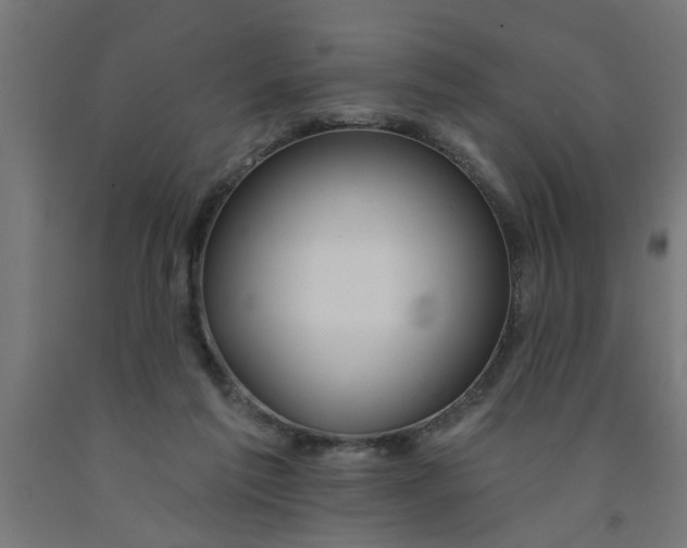 X0000090870213200708241926