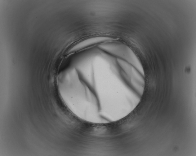 X0000090870214200708241926