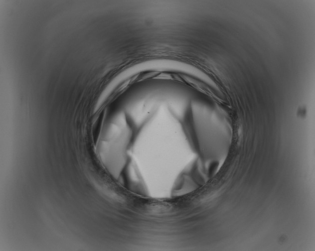 X0000090870215200708241926