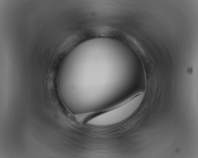 X0000090870217200708241926