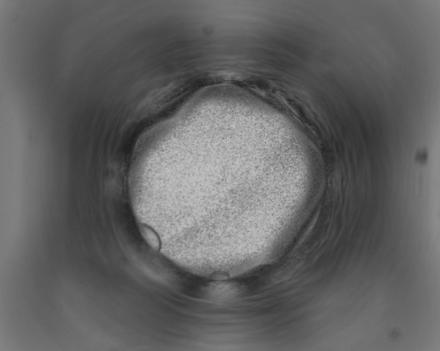 X0000090870218200708241926