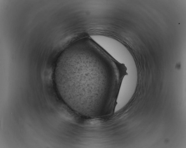 X0000090870219200708241926