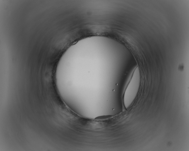 X0000090870221200708241926