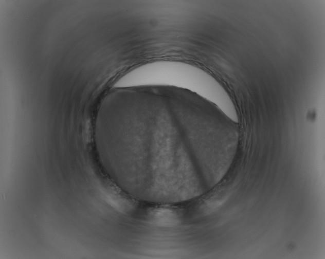 X0000090870224200708241926