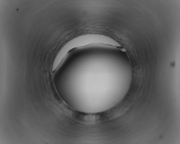 X0000090870225200708241926