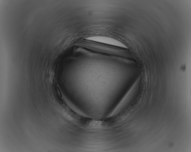 X0000090870227200708241926