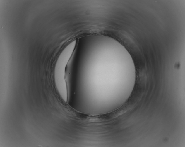 X0000090870228200708241926