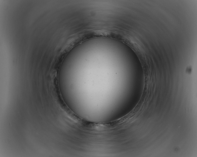 X0000090870229200708241926