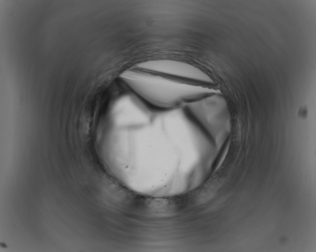 X0000090870230200708241926