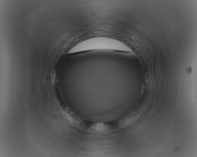 X0000090870231200708241926