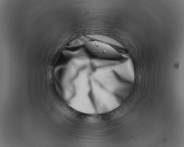 X0000090870232200708241926
