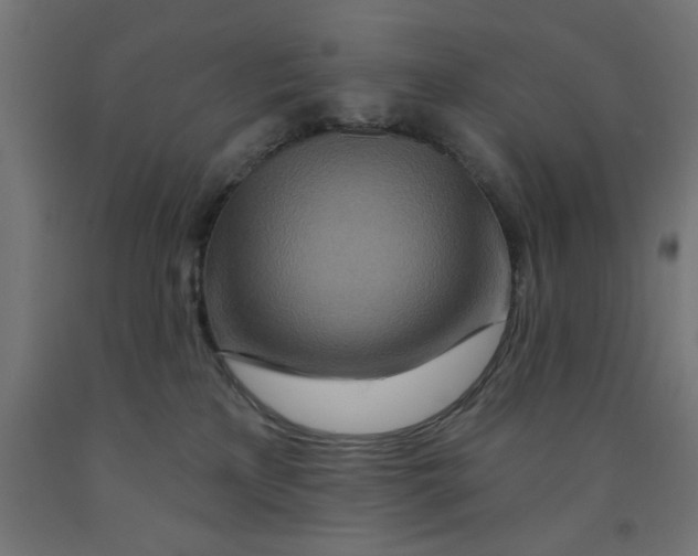 X0000090870233200708241926