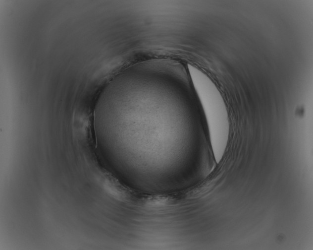 X0000090870235200708241926