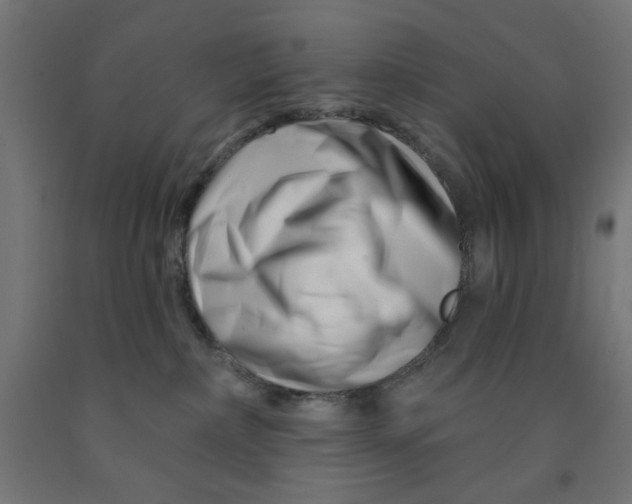 X0000090870236200708241926