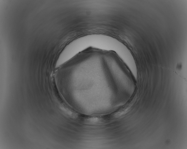 X0000090870237200708241926