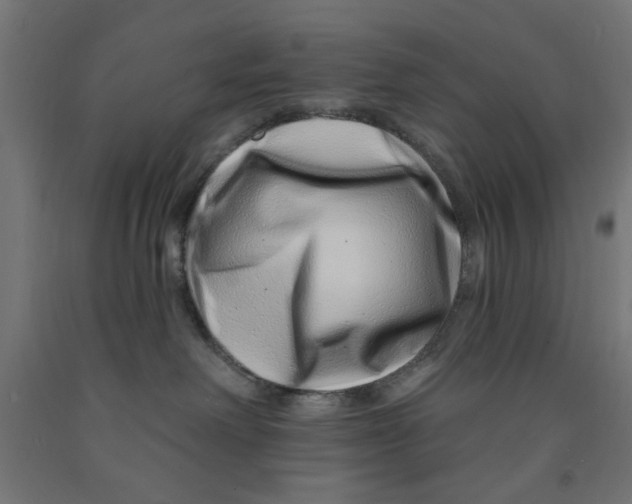 X0000090870238200708241926