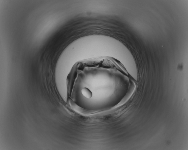 X0000090870239200708241926