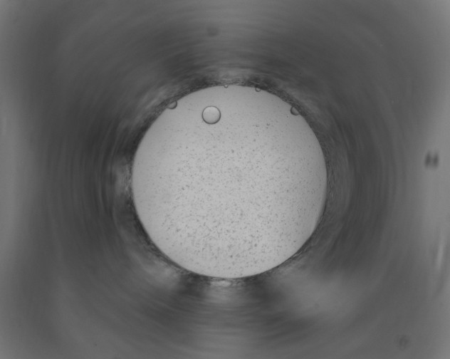 X0000090870240200708241926