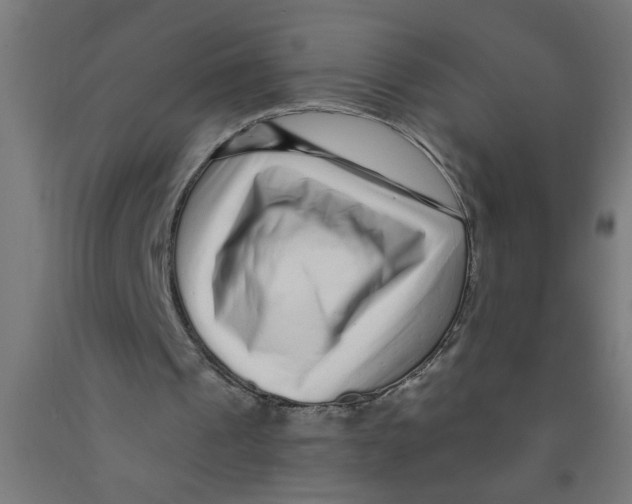 X0000090870241200708241925