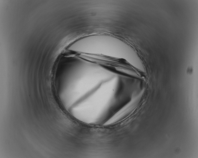 X0000090870242200708241925