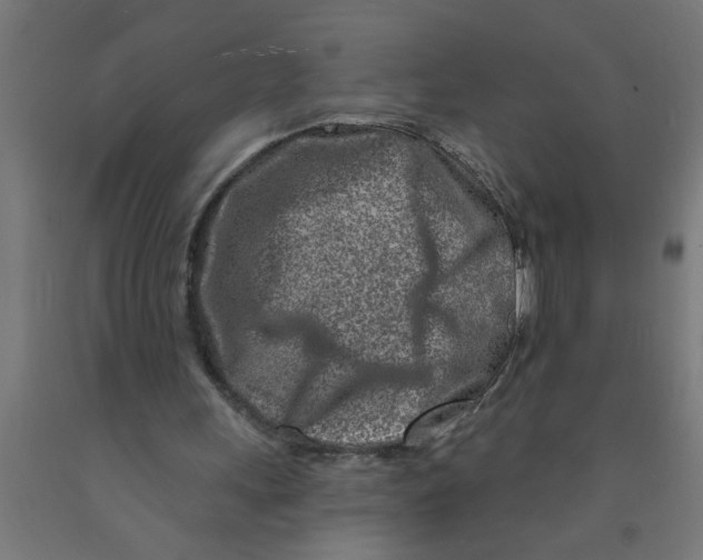 X0000090870243200708241925