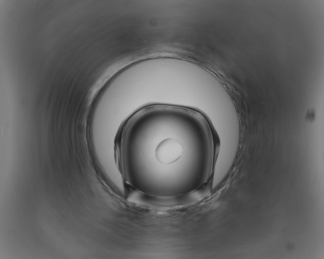 X0000090870244200708241925