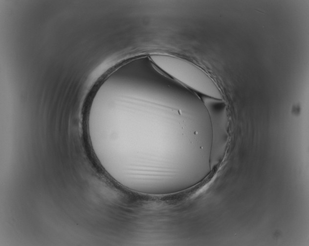 X0000090870246200708241925