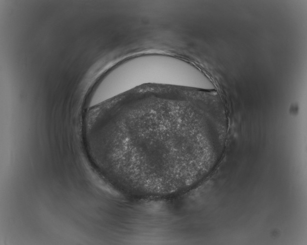 X0000090870247200708241925