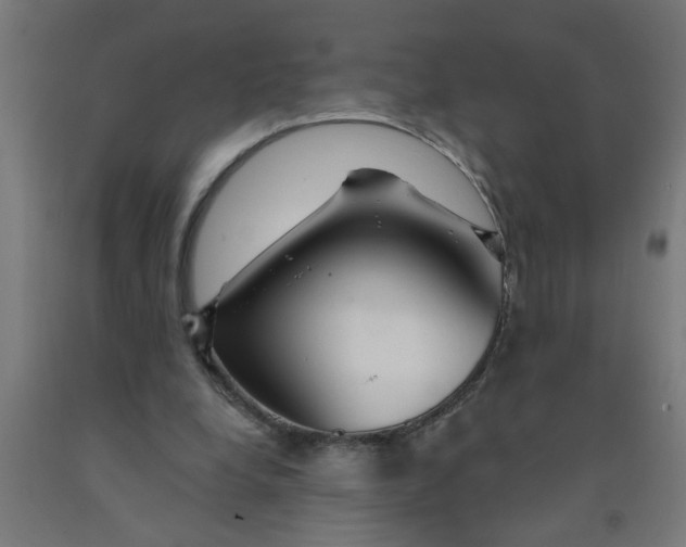 X0000090870248200708241925