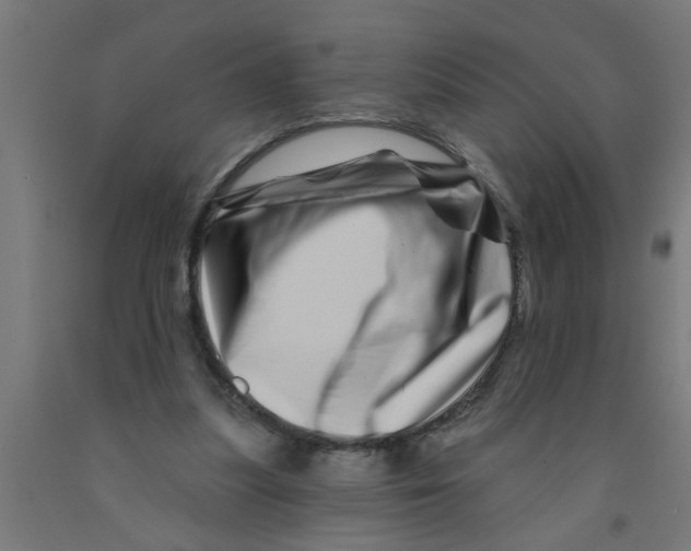 X0000090870251200708241925