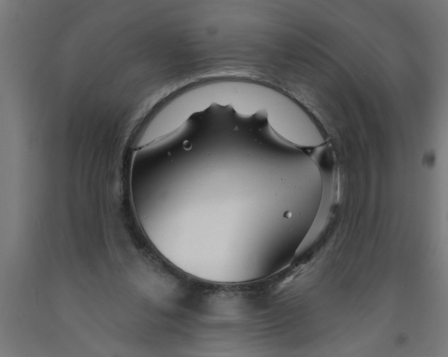 X0000090870252200708241925