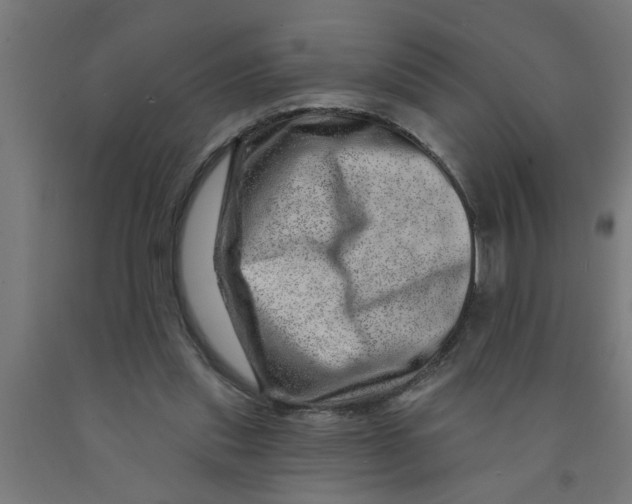 X0000090870253200708241925